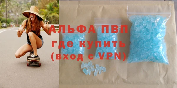 ГАЛЛЮЦИНОГЕННЫЕ ГРИБЫ Бородино