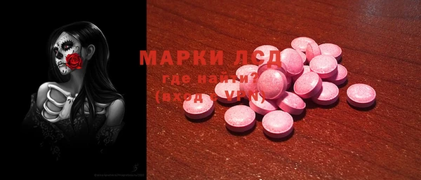 ГАЛЛЮЦИНОГЕННЫЕ ГРИБЫ Бородино